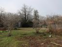 weitläufiger Garten